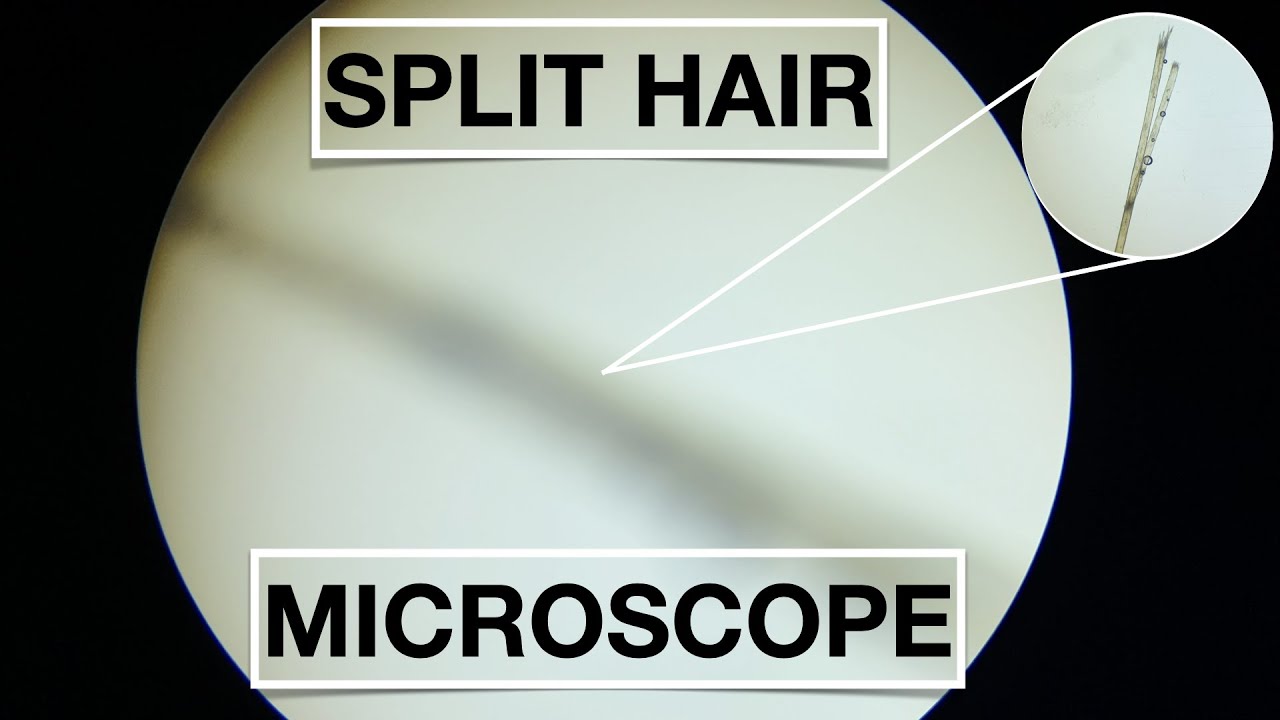 How to remove split ends: research based tips for split end removal