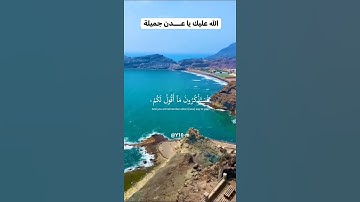 فستذكرون ما اقول لكم 🌿#آيات#تلاوة_خاشعة#ياسر_الدوسري#قرآن#تلاوات#quran##ايات_قرانيه_قصيره#خشوع