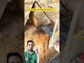 ईंट की दीवार में दरवाज़ा ऐसे कटता है… 😲 #construction #satisfying #viral #BrickWall#DoorCutting