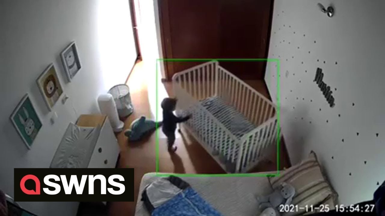 Baby escapes from crib   by moving it across his bedroom while still inside  SWNS