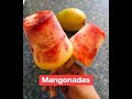 Homemade Mangonadas No sugar added  | Mangonadas sin Azúcar endulzadas con Stevia
