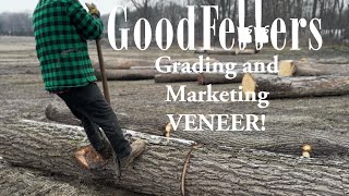 Grading and Marketing Veneer!