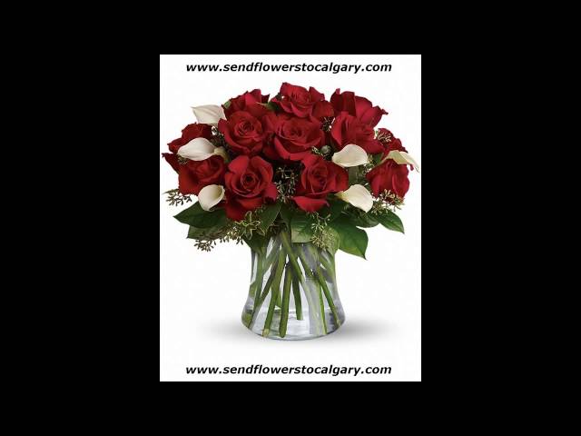 Safeway Flowers Edmonton Ab | Best Flower Site
