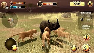 Wild Lion Simulator 3D Android Gameplay #4 screenshot 5