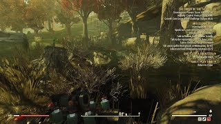 Fallout 76 - Sell Swamp Tofu