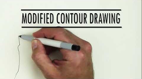 Modified Contour Drawing