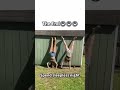 The End😂😂😂#fypシ゚viral #watch #prank #funnyvideo #reaction