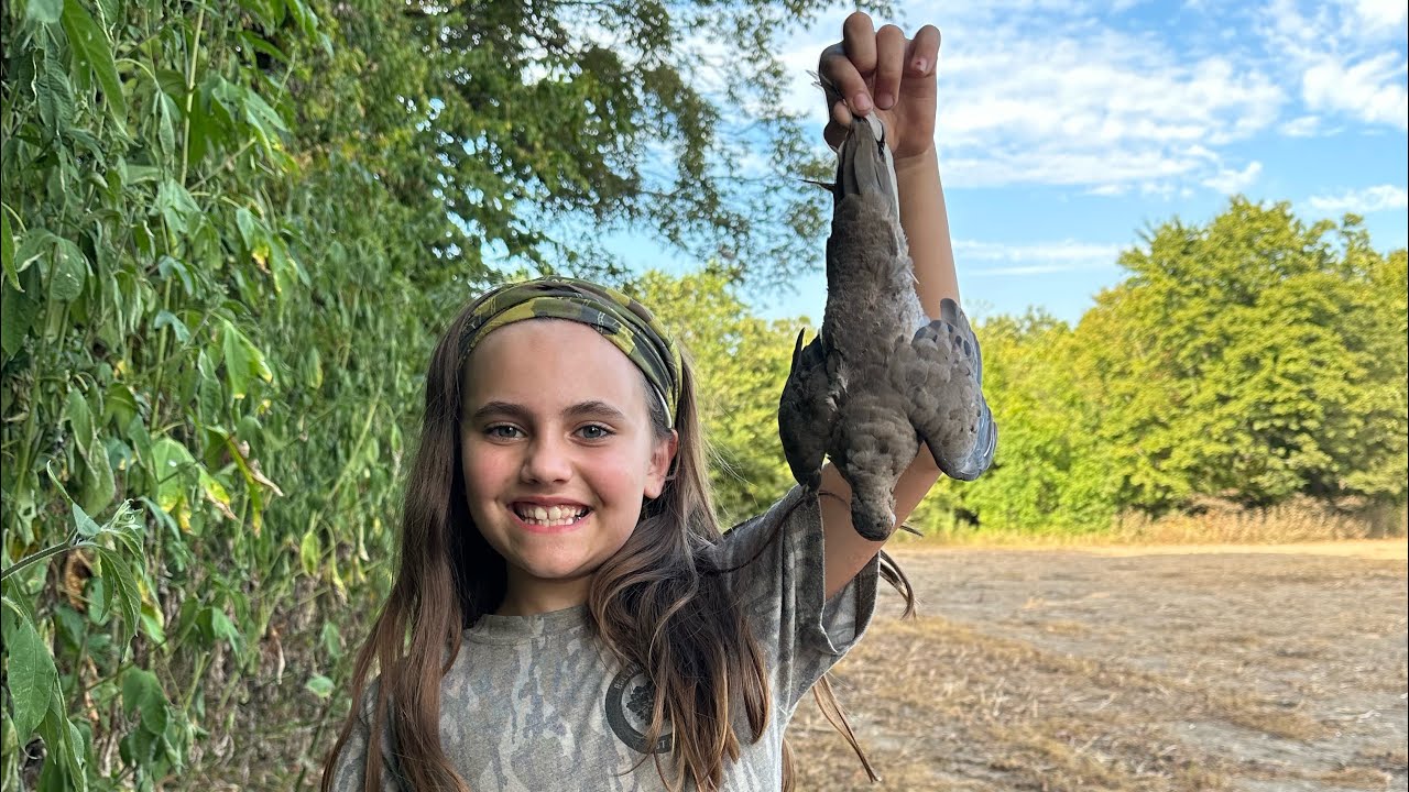 Tennessee Public Land Dove Hunt!! 