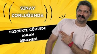 Sözcükte ve Cümlede Anlam | DENEME