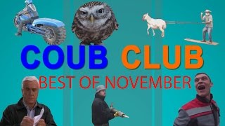 Coub Club / Best of november / Vines and Coub