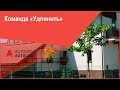 Удлинение объектов в Автокад  - Команда AutoCAD "Удлинить"