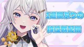 星屑マル-Maru Hoshikuzu-の配信のサムネイル画像