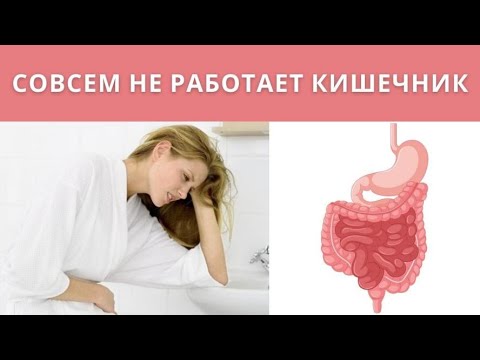 Не работает кишечник. Не сходить в туалет без слабительных! Запор. Что делать?