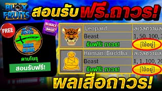 Blox Fruits | สอนรับฟรี!✅ (ผลพระถาวร!+ผลเสือถาวร!)🐯 ดาบโยรุ🗡 ฟรีๆได้จริง100%🔥