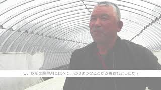 「非選択性除草剤 プリグロックスL」今まで2回まいていたのが、1回で済んで安く抑えられます（かんしょ農家）