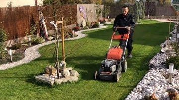 C6 CẮT CỎ VƯỜN 🌱🤗vườn Hùng Anh Cz