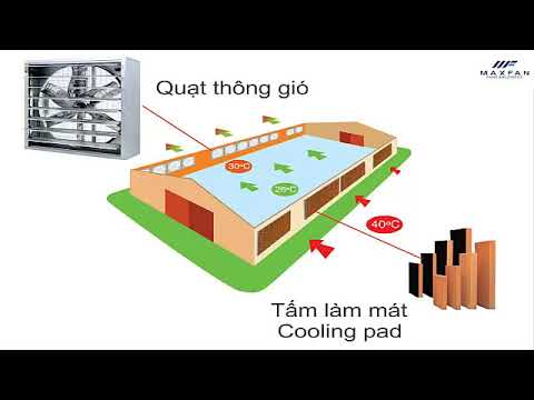 Video: Cách Lắp đặt Bộ Làm Mát Trong Trường Hợp