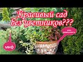 Красивый сад без цветников? Миф или это возможно?Сад непрерывного цветения своими руками. Дача