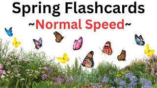 Spring Flashcards Normal Speed