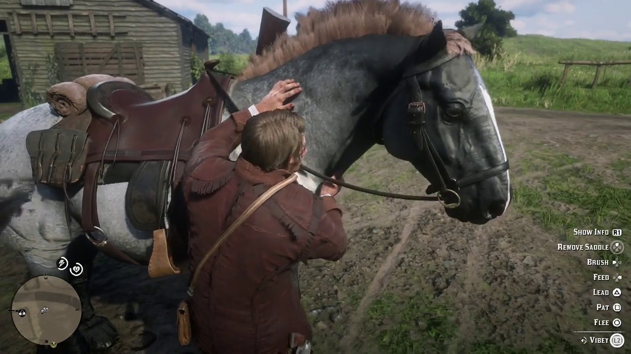 tåge amplifikation Maleri Red Dead Redemption 2 Get Lock Breaker - YouTube