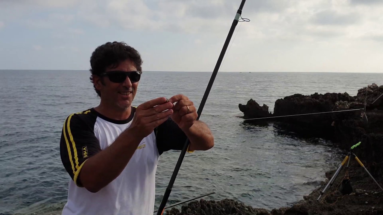 pesca sarago con piercing d'amo arrugginito e nessuna tregua per il vettino della canna da pesca pesca sarago con piercing d'amo arrugginito e nessuna tregua per il vettino della canna da pesca