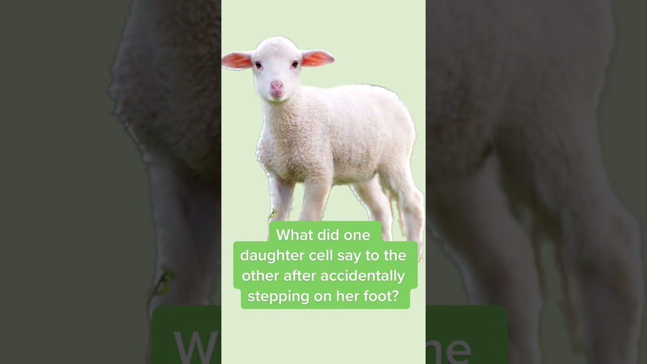 What's your favourite science joke? Share it in the comments! 🤓 