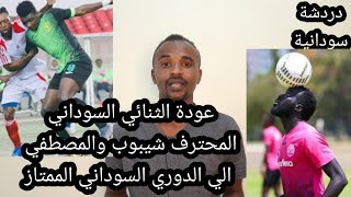عودة شرف شيبوب ومحمد المصطفي الي الدوري السوداني مجددا