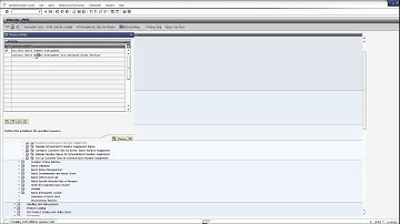SAP Batch Number Assignment