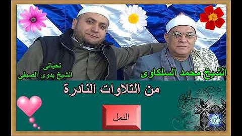 الشيخ محمد السلكاوى ماتيسر من سورة النمل