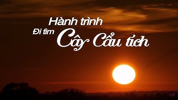 Hành trình đi tìm thảo dược quý Cẩu Tích | Bổ thận - Giúp giảm tiểu đêm, phòng ngừa suy thận