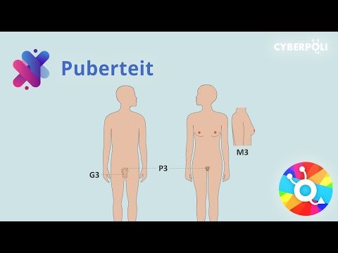 De geslachtsontwikkeling tijdens de puberteit