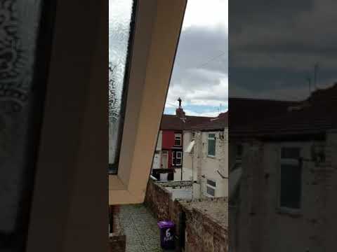 This happened in Norris Green in Liverpool. A Scouser on roof with threats to sh××t a g×n ? 2021