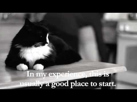 Henri - "On Cat Food Boredom", Part 1 of 4