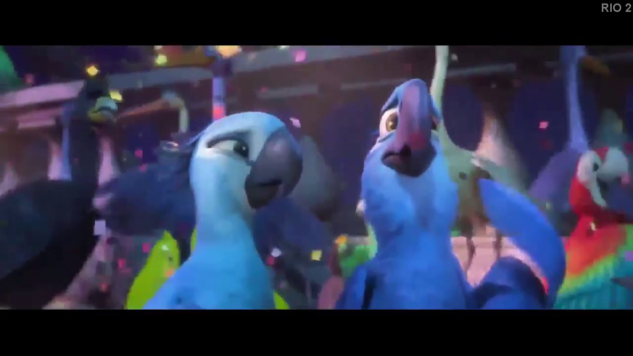 RIO 2 💈 