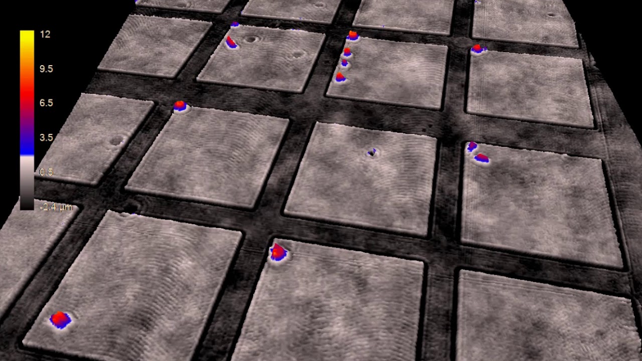 Live Cell Imaging Time-Lapse of Stem Cells on Microgrid arrays | HoloMonitor®