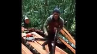 lipsing tukang senso