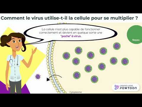 Vidéo: Comment Vérifier Le Courrier Pour Les Virus