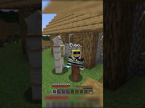 Minecraft But I
