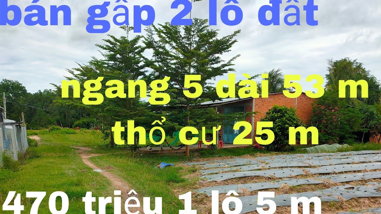 ( Nhà Đất Tây Ninh ) 2 Lô Đất 5*53 Thổ Cư 25 m Gần... - youtube