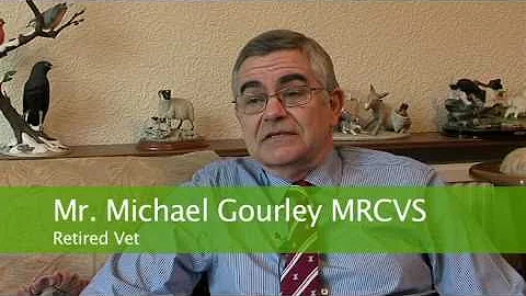 The Digglers speak to Michael Gourley
