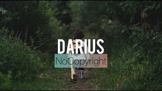 Diviners &amp; Azertion - Feelings [No Copyright Music]