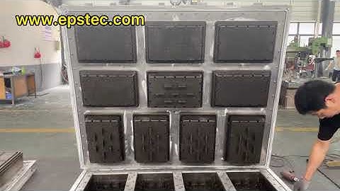 EPS box mould for vegetable grape and fruit package with expanded polystyrene