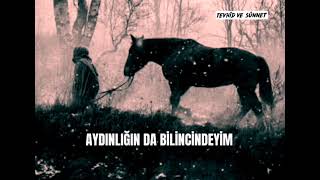 ...Alemleri̇n Rabbi̇ Olan Allah İçi̇ndi̇r Enam 162