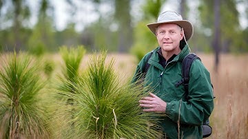 Kyle Harms | AAAS Fellow