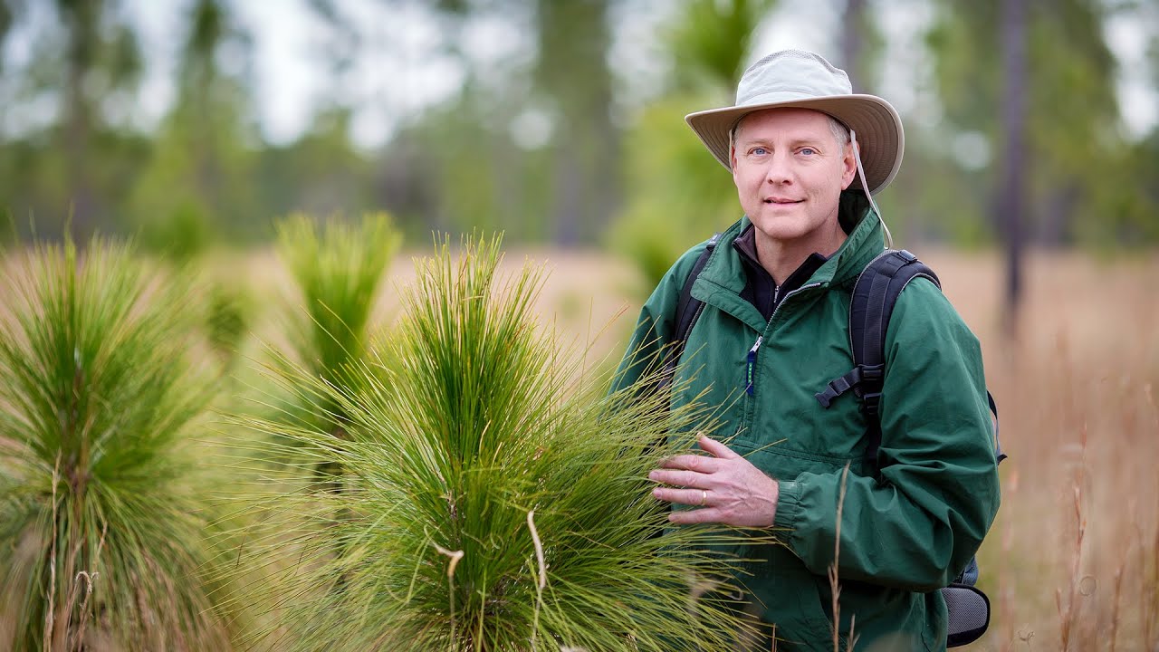 Kyle Harms | AAAS Fellow