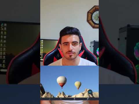 كيف الكلب يرى العالم