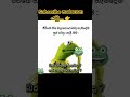 අහ්හ් ම්ම්ම්... 😍🐸🐸 #shrots #videovlog #youtube