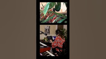 generative music + ambient synths