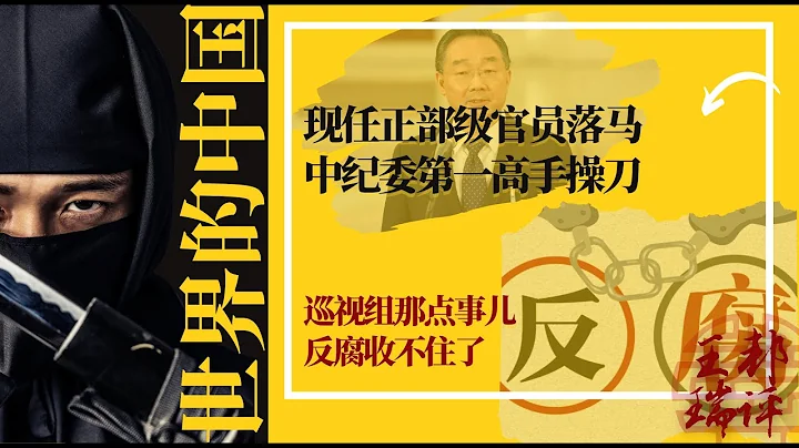 现任正部级官员落马，中纪委第一高手操刀；巡视组那点事儿，反腐收不住了；核心要务，不搞几个落马没法交代 |《#世界的中国》（20240520） - 天天要闻