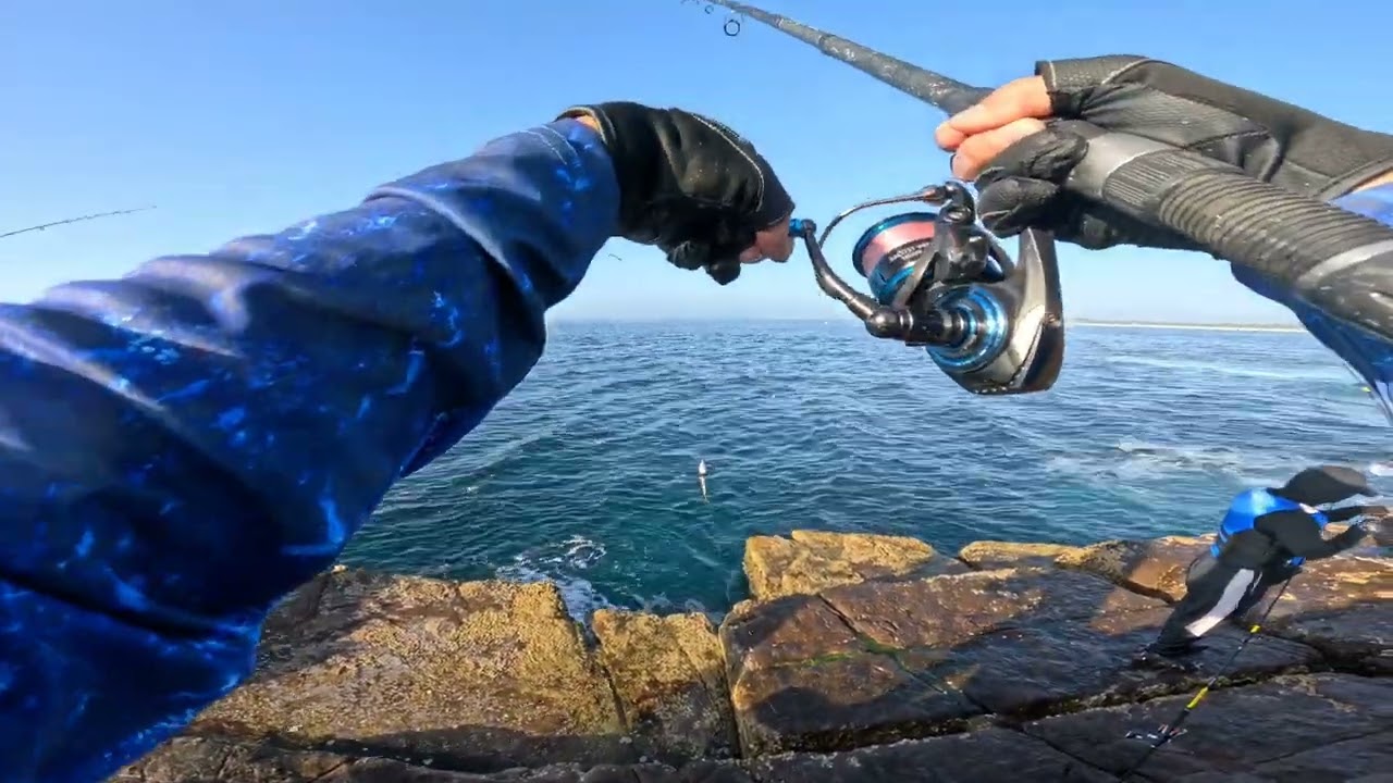 SOUTH COAST || BONITO || COCONUT RIG